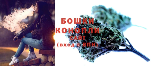 ГАЛЛЮЦИНОГЕННЫЕ ГРИБЫ Баксан