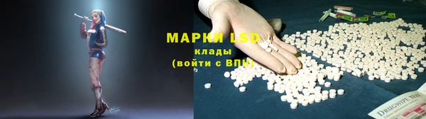 ГАЛЛЮЦИНОГЕННЫЕ ГРИБЫ Баксан