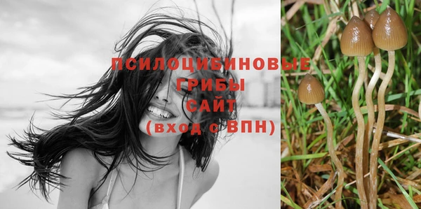 соль курить ск Балахна