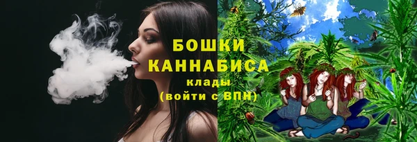 ГАЛЛЮЦИНОГЕННЫЕ ГРИБЫ Баксан