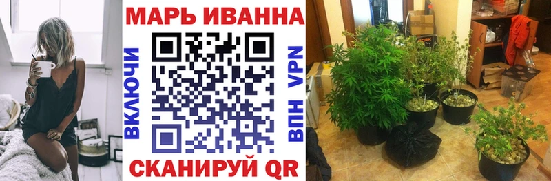 Бошки Шишки план  Полярный 